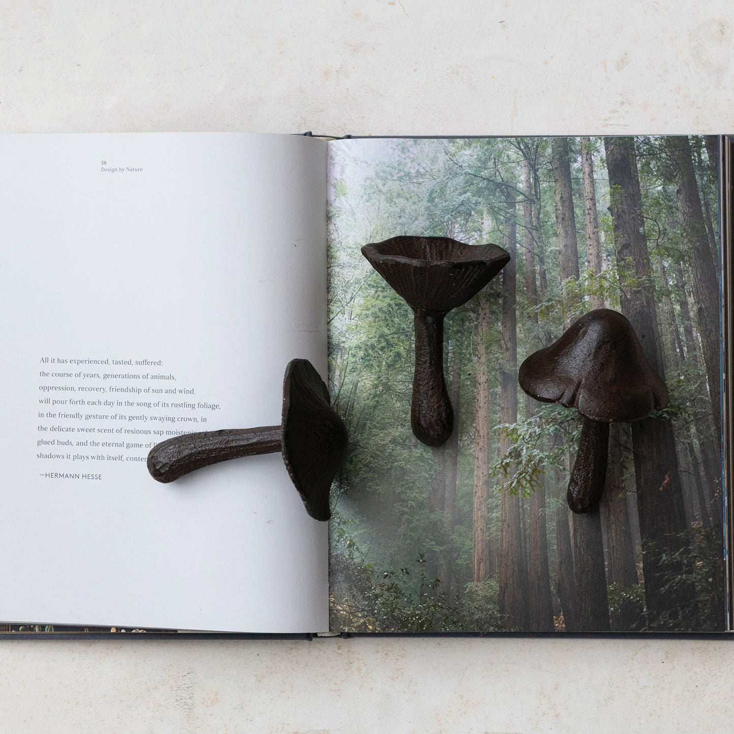 Cast Iron Mushroom, 3 Styles